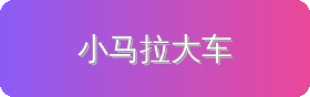 小马拉大车